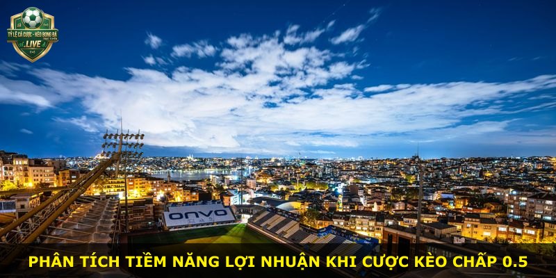 Phân tích tiềm năng lợi nhuận khi cược kèo chấp 0.5